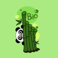 Cute cartoon panda hiding under bamboo. Funny character for your design. Green. Panda protect concept. Ecology, green energy Royalty Free Stock Photo